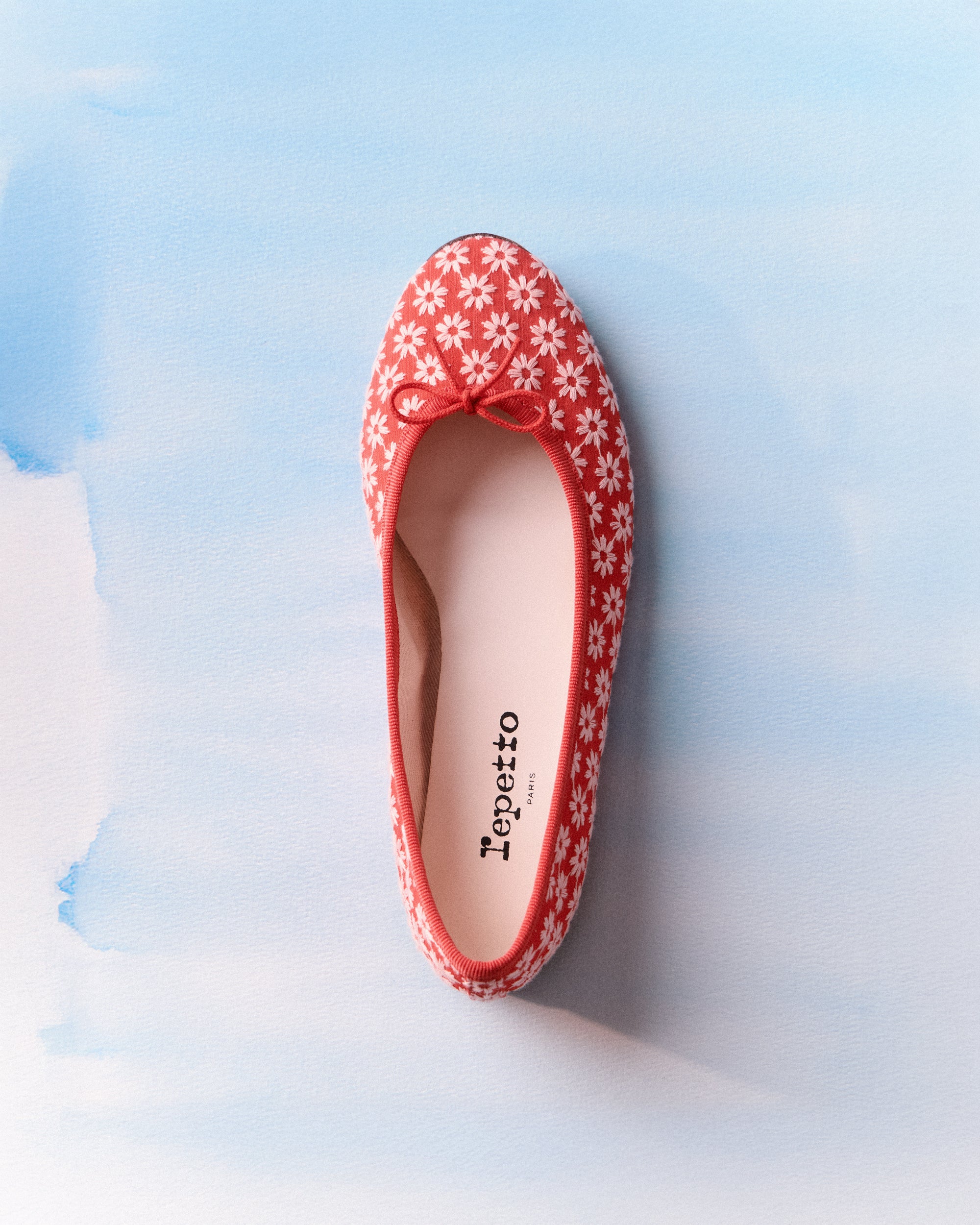 Cendrillon Ballet Flats