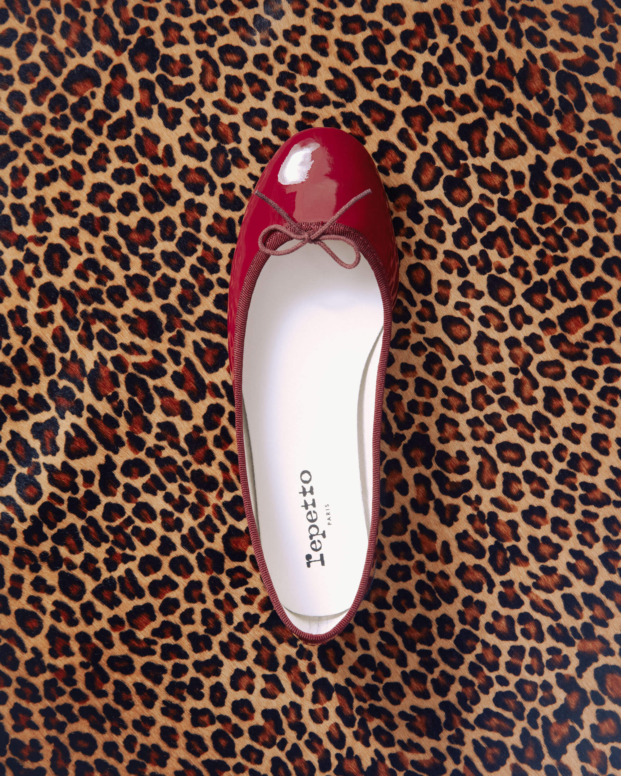 Repetto Paris - Luxury Made in France Shoes et Dance Collection
