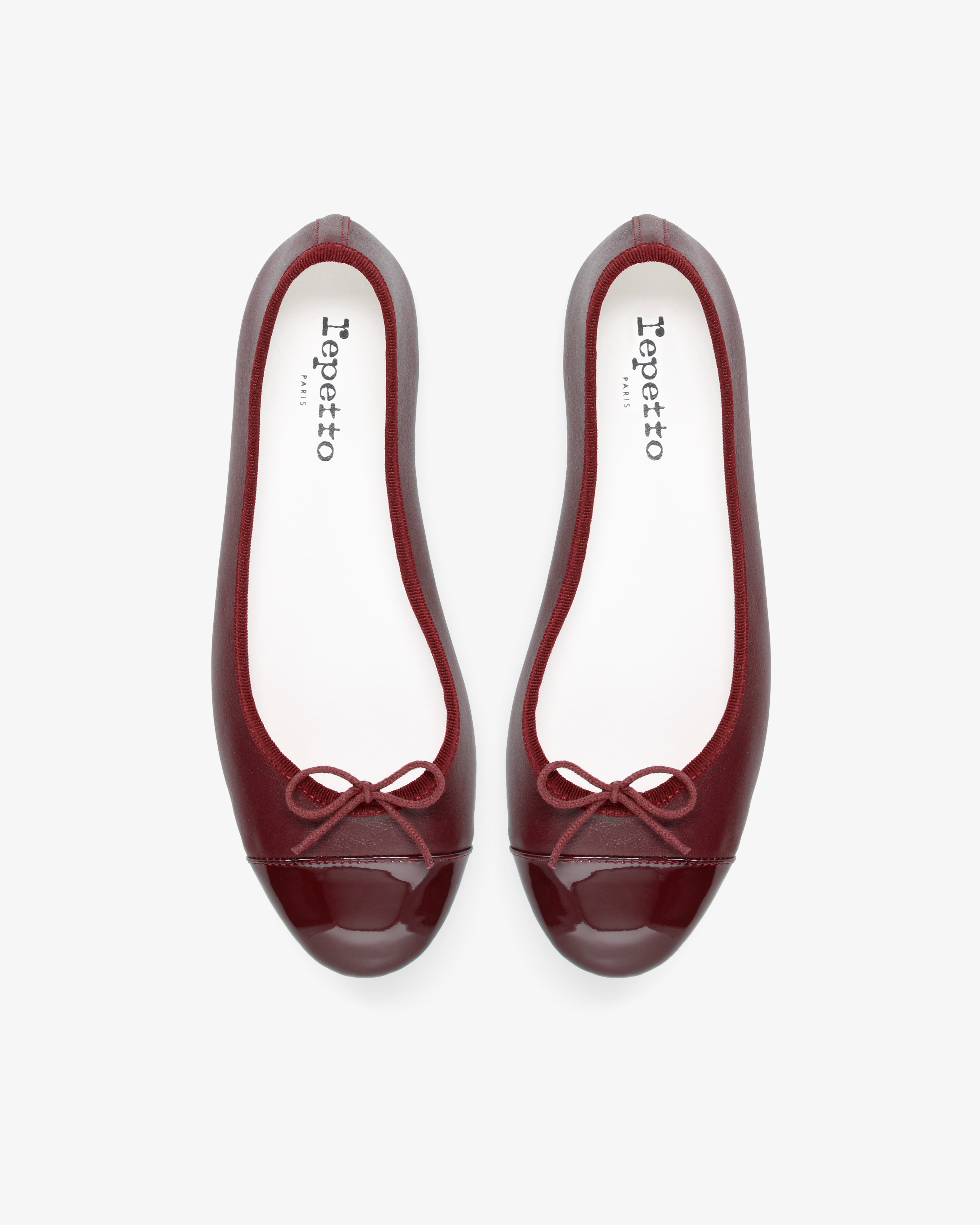 Album Photos REPETTO chaussons tutus... hommages des Album Photos REPETTO chaussons tutus... hommages des